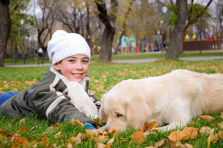 Boy playing in autumn park with a golden retriever の写真素材