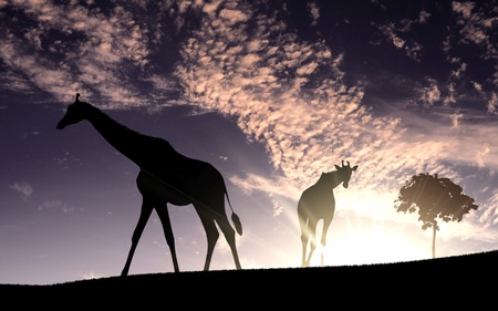 Picture of african animals in savannah at dawn timeの写真素材