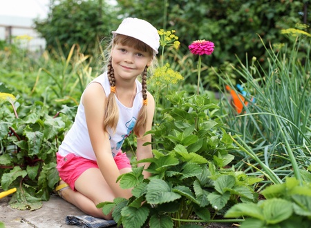 Little happy girl gardening in the summerの写真素材