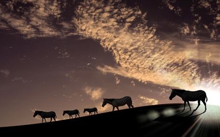 Picture of african animals in savannah at dawnの写真素材