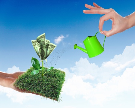 Human hand with a pot watering growing money treeの写真素材