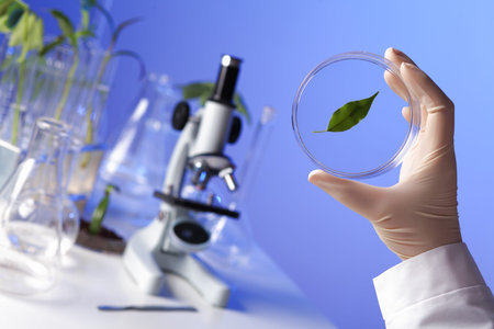 Green plants and scientific equipment in biology laborotary