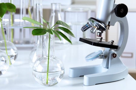 Green plants and scientific equipment in biology laborotaryの写真素材