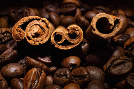 Image of coffee beans and white cupの写真素材