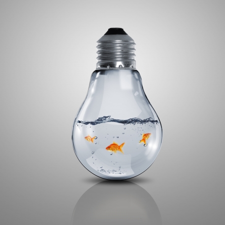 Gold fish in water inside an electric light bulbの写真素材