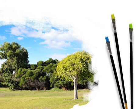 Picture of sunny nature landscape and brushesの写真素材