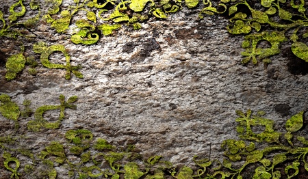 Texture of old rock wall for backgroundの写真素材