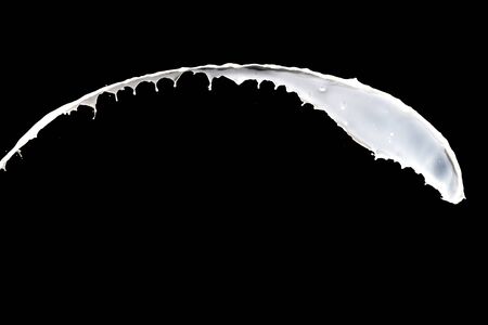 White milk splash isolated on black backgroundの写真素材