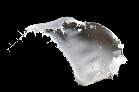 White milk splash isolated on black backgroundの写真素材