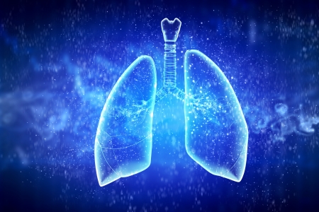 Schematic illustration of human lungs with the different elements on a colored background  Collage の写真素材
