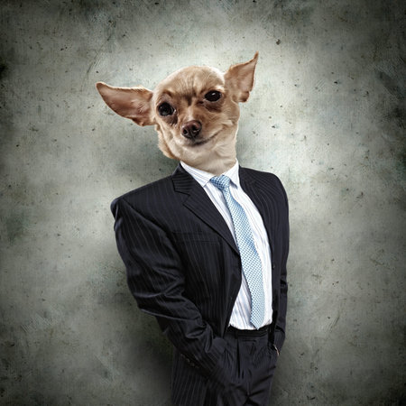 Funny portrait of a dog in a suit on an abstract background  Collage の写真素材