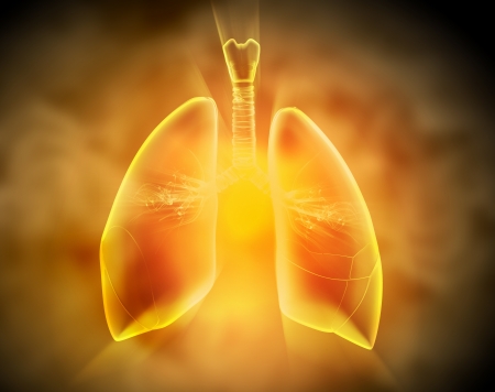Schematic illustration of human lungs with the different elements on a colored background  Collage の写真素材