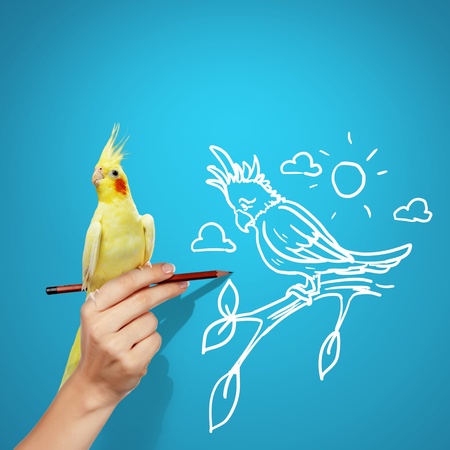 Image of parrot sitting on human handの写真素材