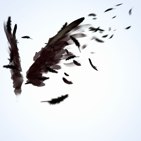 Abstract image of black wings against light backgroundの写真素材