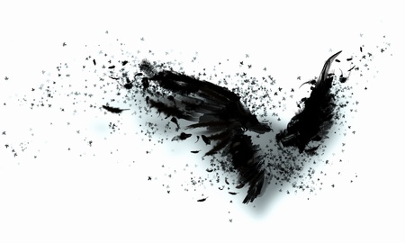 Abstract image of black wings against light backgroundの写真素材