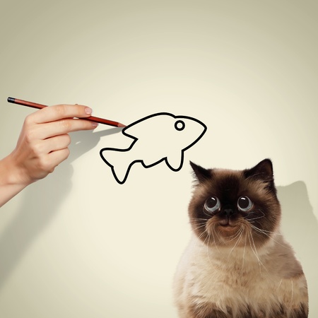 de3ea984-5245-4a93-9f61-28b83a4611c9のeditorial素材