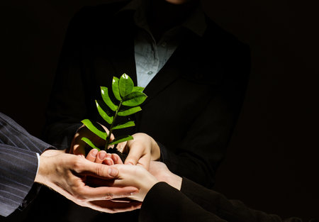 Close up of businessmen hands with sprout in palmsの写真素材