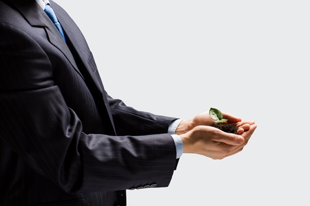 Close up of businessman hands with sprout in palmsの写真素材