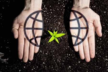 Human hands holding a green sprout and ecology symbolsの写真素材