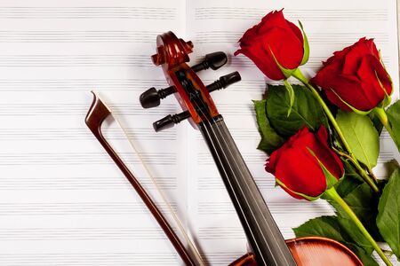 Red roses and a violin on the tableの写真素材