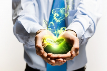 Young green sprout in human hands  Ecology conceptの写真素材