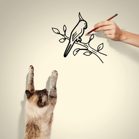 Image of siamese cat catching drawn birdの写真素材