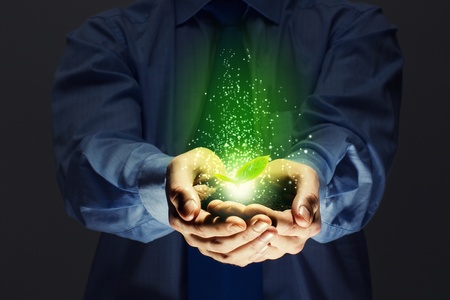 Young green sprout in human hands  Ecology conceptの写真素材