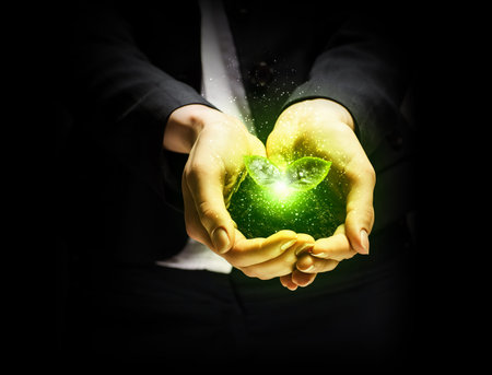 Young green sprout in human hands  Ecology conceptの写真素材