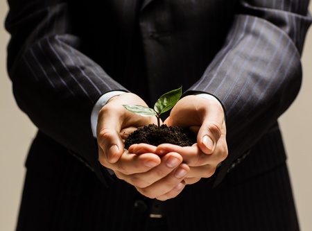 Close up of businessman hands with sprout in palmsの写真素材
