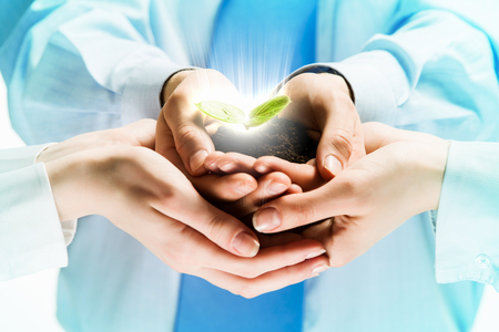 Green sprout in human hands  Recycle ideaの写真素材