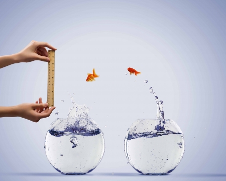 Aquarium with gold fish jumping out of waterの写真素材