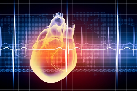 Virtual image of human heart with cardiogramの写真素材