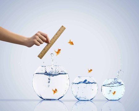 Aquarium with gold fish jumping out of waterの写真素材