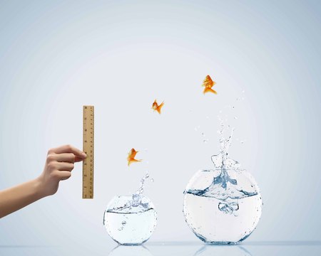 Aquarium with gold fish jumping out of waterの写真素材