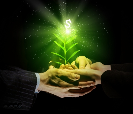 Close up image of human hands holding sprout of money treeの写真素材