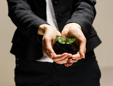 Close up of businesswoman hands with sprout in palmsの写真素材