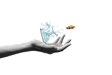 Close up of laptop with fish jumping out from screenの写真素材