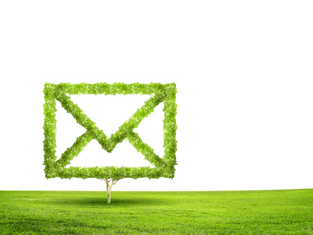 Conceptual image of green plant  Protect our planetの写真素材