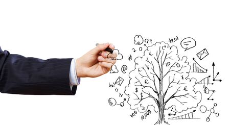 Close up of businessman hand drawing treeの写真素材