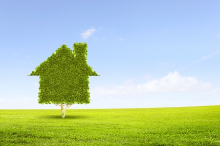 Conceptual image of green plant shaped like houseの写真素材