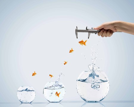 Aquarium with gold fish jumping out of waterの写真素材