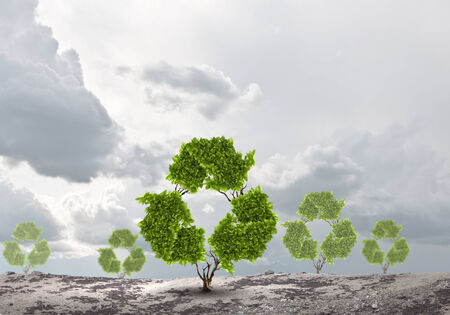 Conceptual image of green plant shaped like recycle symbolの写真素材