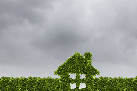 Conceptual image of green plant shaped like houseの写真素材