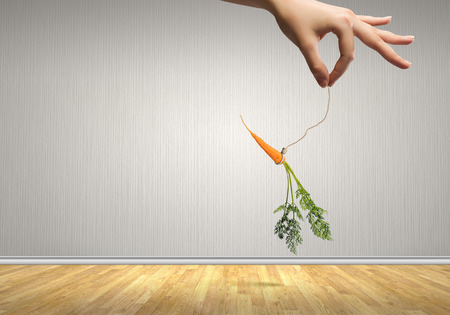 Close up of hand holding stick with carrot dangling on ropeの写真素材