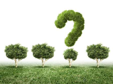 Conceptual image of green plant  Protect our planetの写真素材