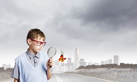 School boy examining butterfly with magnifying glassの写真素材