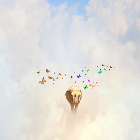 Elephant flying in sky among colorful butterfliesの写真素材