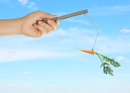 Close up of hand holding stick with carrot dangling on ropeの写真素材