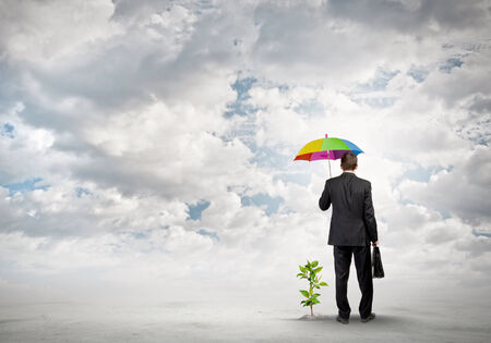 Rear view of businessman protecting little sprout with umbrellaの写真素材