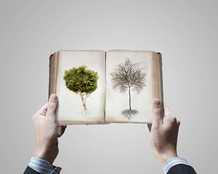 Close up image of male hands holding opened bookの写真素材